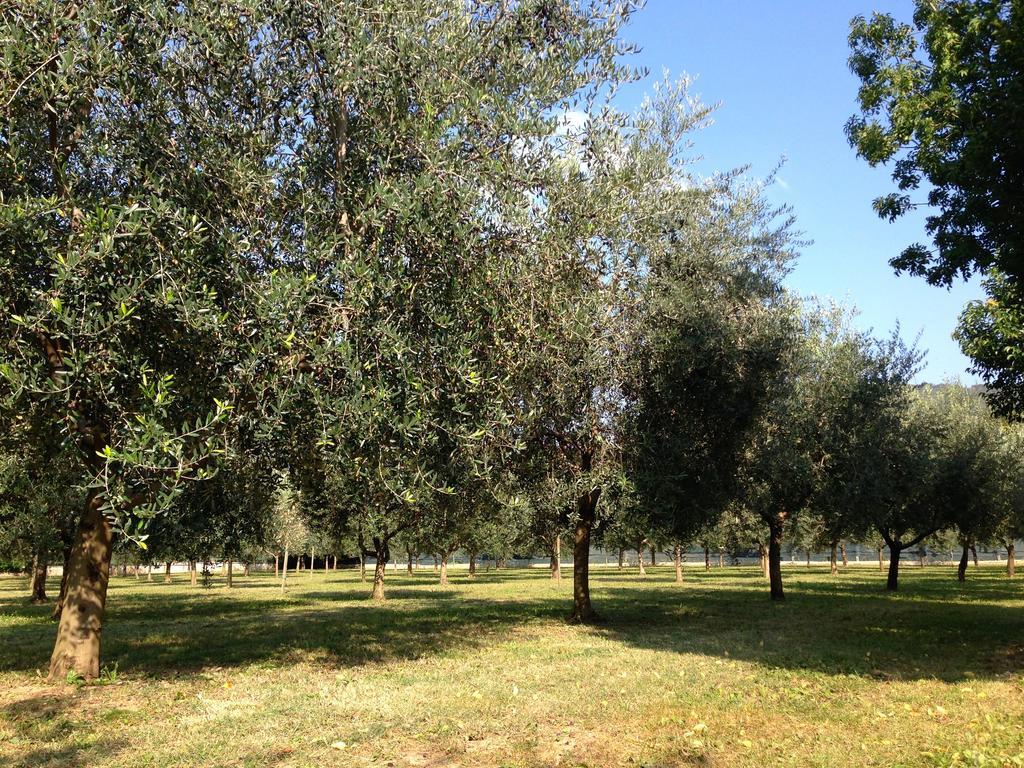 Agriturismo Corte Moranda Verona Exteriör bild